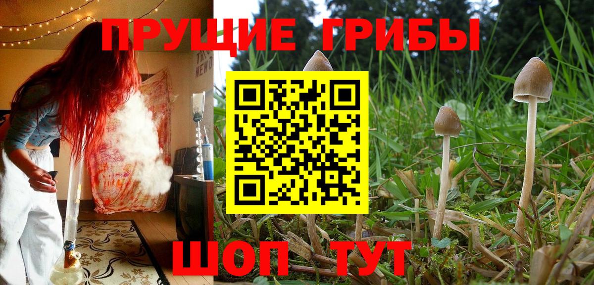 Юрга  Галлюциногенные грибы GOLDEN TEACHER  Вход с VPN 